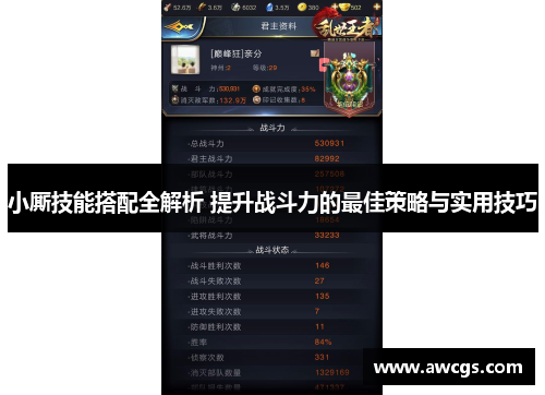 小厮技能搭配全解析 提升战斗力的最佳策略与实用技巧